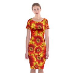 Gerbera Flowers Blossom Bloom Classic Short Sleeve Midi Dress by Amaryn4rt