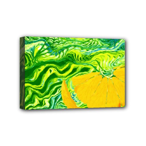 Zitro Abstract Sour Texture Food Mini Canvas 6  X 4  by Amaryn4rt