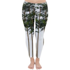 Bamboo Plant Wellness Digital Art Classic Winter Leggings