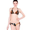 Fractal Structure Mathematics Bikini Set View3