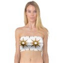 Seamless Repeating Tiling Tileable Bandeau Top View1