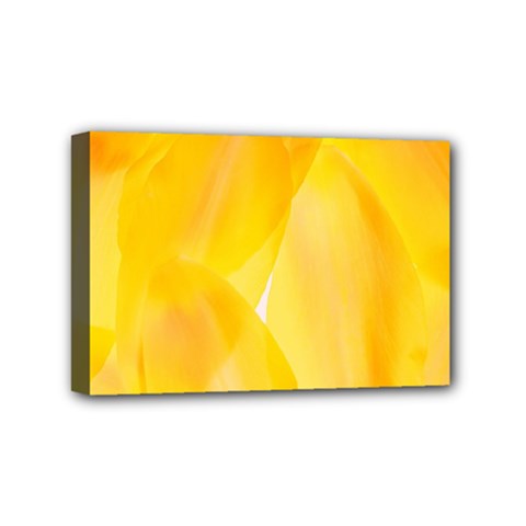 Yellow Pattern Painting Mini Canvas 6  X 4 