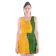 Wet Yellow And Green Leaves Abstract Pattern Scoop Neck Skater Dress
