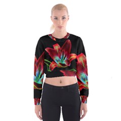 Flower Pattern Design Abstract Background Women s Cropped Sweatshirt by Amaryn4rt