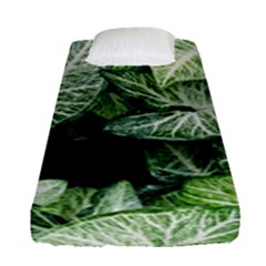 Green Leaves Nature Pattern Plant Fitted Sheet (single Size) by Amaryn4rt