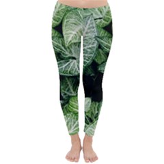 Green Leaves Nature Pattern Plant Classic Winter Leggings by Amaryn4rt