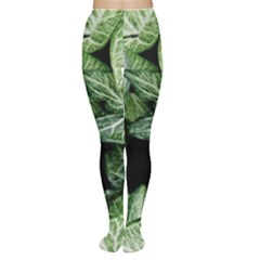 Green Leaves Nature Pattern Plant Women s Tights by Amaryn4rt