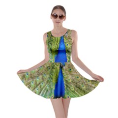 Peacock Animal Photography Beautiful Skater Dress