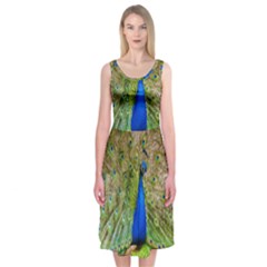 Peacock Animal Photography Beautiful Midi Sleeveless Dress