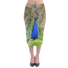 Peacock Animal Photography Beautiful Velvet Midi Pencil Skirt