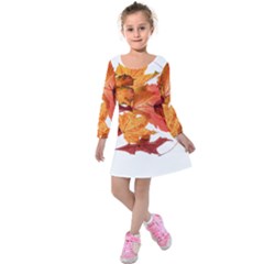 Autumn Leaves Leaf Transparent Kids  Long Sleeve Velvet Dress by Amaryn4rt