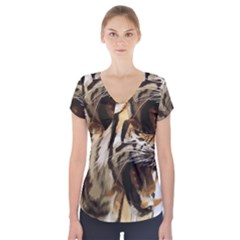 Royal Tiger National Park Short Sleeve Front Detail Top by Amaryn4rt