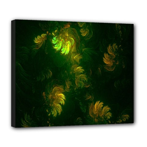 Light Fractal Plants Deluxe Canvas 24  X 20  
