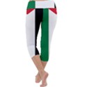 Palestine flag Capri Yoga Leggings View4