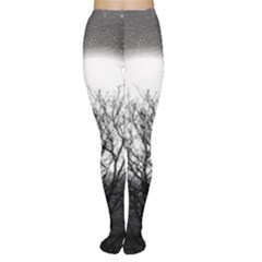 Starry Sky Women s Tights by digitaldivadesigns