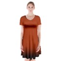 Brown Gradient Frame Short Sleeve V-neck Flare Dress View1