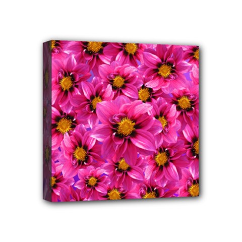 Dahlia Flowers Pink Garden Plant Mini Canvas 4  X 4 