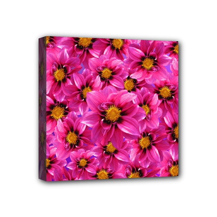 Dahlia Flowers Pink Garden Plant Mini Canvas 4  x 4 