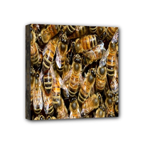 Honey Bee Water Buckfast Mini Canvas 4  X 4  by Nexatart