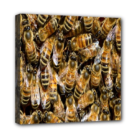 Honey Bee Water Buckfast Mini Canvas 8  X 8  by Nexatart