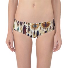 Insect Collection Classic Bikini Bottoms