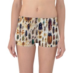 Insect Collection Reversible Bikini Bottoms by Nexatart