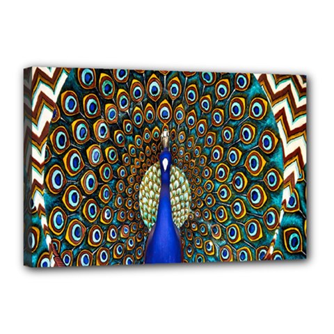 The Peacock Pattern Canvas 18  X 12  by Nexatart