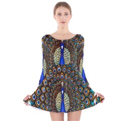 The Peacock Pattern Long Sleeve Velvet Skater Dress