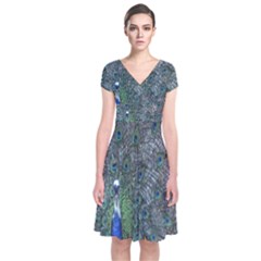 Peacock Four Spot Feather Bird Short Sleeve Front Wrap Dress