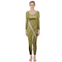 Yellow Leaf Fig Tree Texture Long Sleeve Catsuit by Nexatart