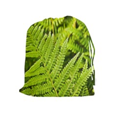 Fern Nature Green Plant Drawstring Pouches (extra Large) by Nexatart