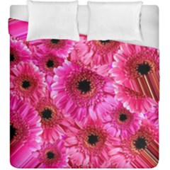 Gerbera Flower Nature Pink Blosso Duvet Cover Double Side (king Size) by Nexatart