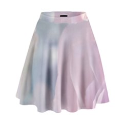 Pastel Roses High Waist Skirt by Brittlevirginclothing