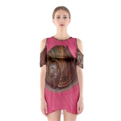 Snail Pink Background Shoulder Cutout One Piece by Nexatart