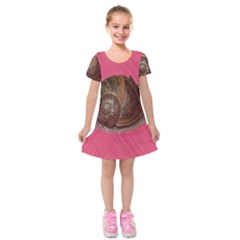 Snail Pink Background Kids  Short Sleeve Velvet Dress by Nexatart