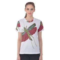 Grasshopper Insect Animal Isolated Women s Cotton Tee