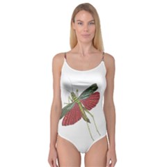 Grasshopper Insect Animal Isolated Camisole Leotard  by Nexatart