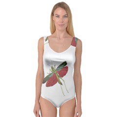 Grasshopper Insect Animal Isolated Princess Tank Leotard  by Nexatart