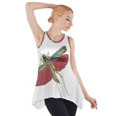 Grasshopper Insect Animal Isolated Side Drop Tank Tunic by Nexatart