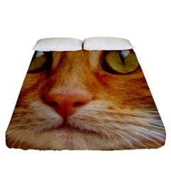 Cat Red Cute Mackerel Tiger Sweet Fitted Sheet (queen Size) by Nexatart