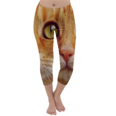 Cat Red Cute Mackerel Tiger Sweet Capri Winter Leggings  by Nexatart