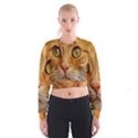 Cat Red Cute Mackerel Tiger Sweet Women s Cropped Sweatshirt View1