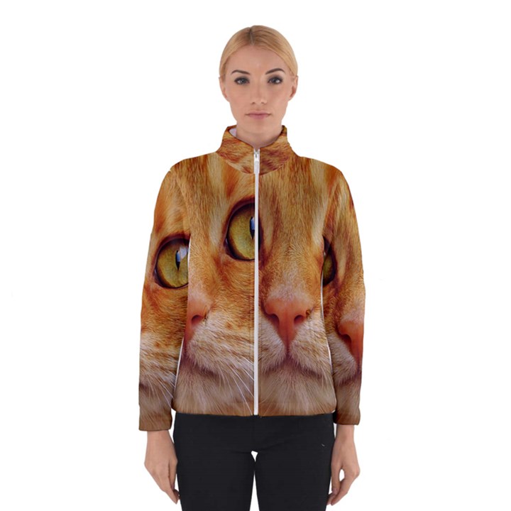 Cat Red Cute Mackerel Tiger Sweet Winterwear