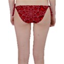 Fractal Art Elegant Red Bikini Bottom View2