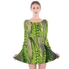 Fern Ferns Green Nature Foliage Long Sleeve Velvet Skater Dress by Nexatart