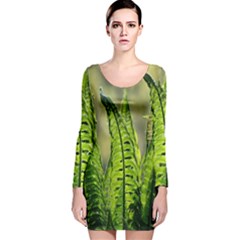 Fern Ferns Green Nature Foliage Long Sleeve Velvet Bodycon Dress by Nexatart