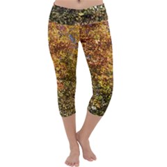 Autumn Tree Capri Yoga Leggings