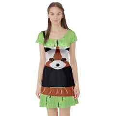 Red Panda Bamboo Firefox Animal Short Sleeve Skater Dress by Nexatart