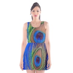 Blue Peacock Feather Scoop Neck Skater Dress