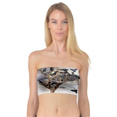 Birds Crows Black Ravens Wing Bandeau Top by Amaryn4rt